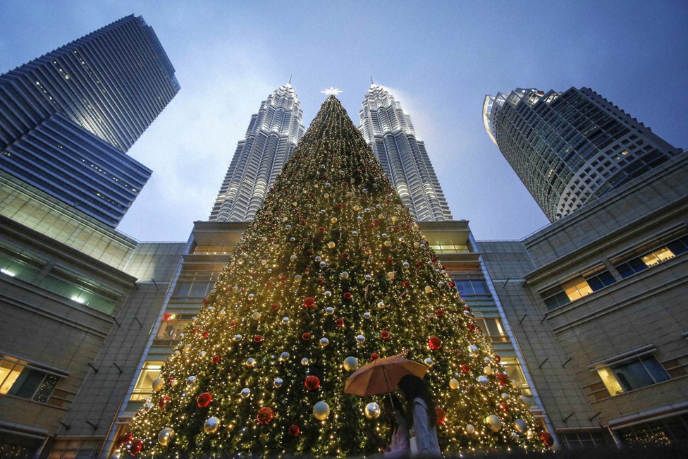 Best 20 Christmas trees around the World
