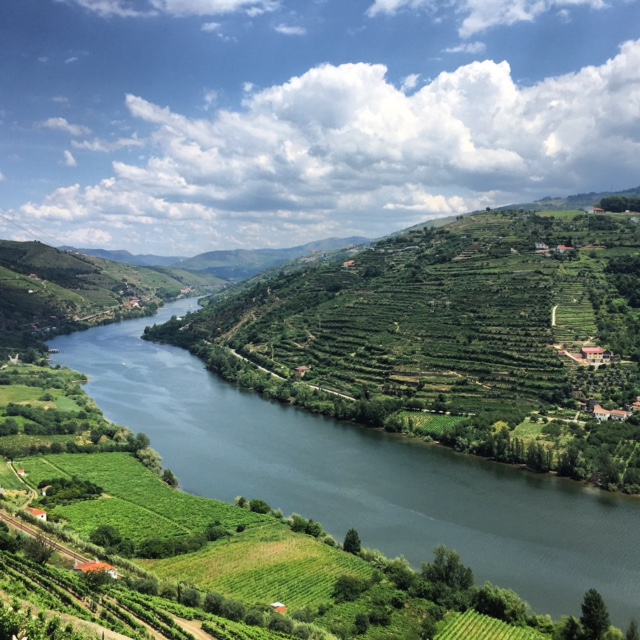Douro Valley View from the N-222