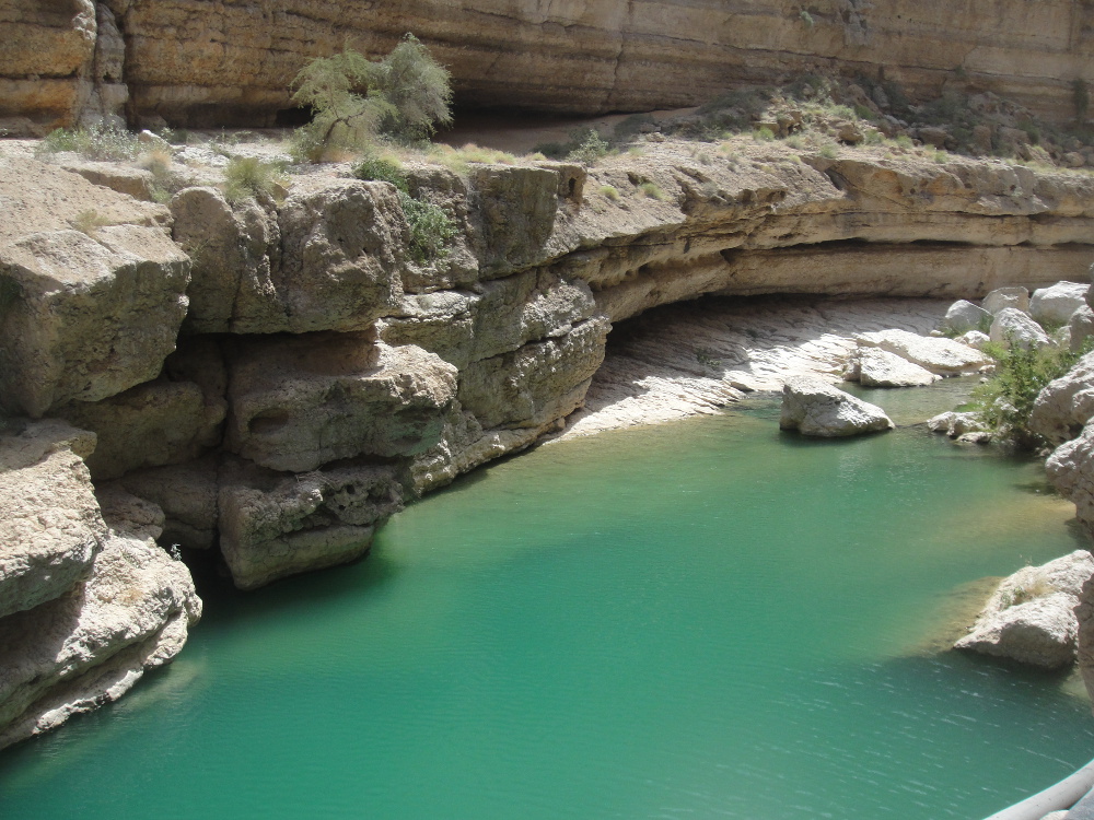 One of Wadi Shab's pools