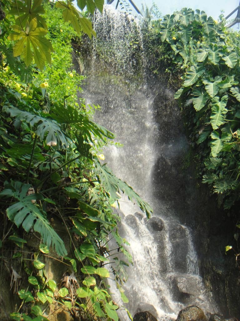 Eden Project's Rainforest Biome