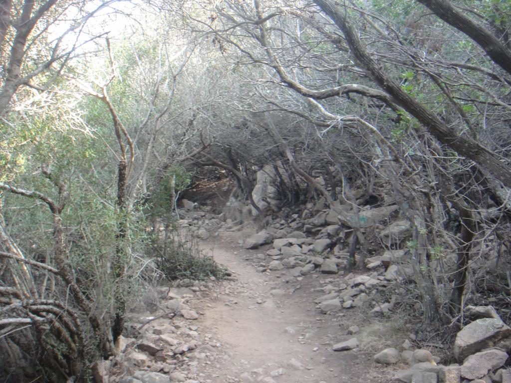 Cala Coticcio hiking trail